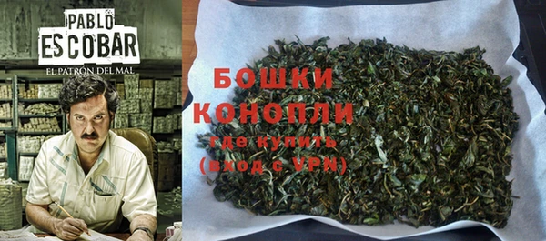 гидра Володарск