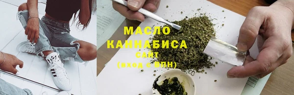 гидра Володарск