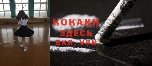 дживик Вязьма