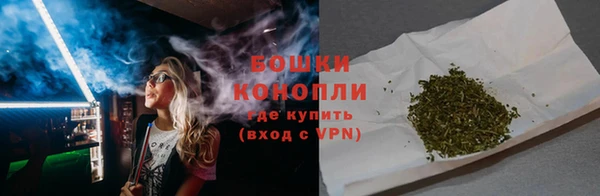 дживик Вязьма