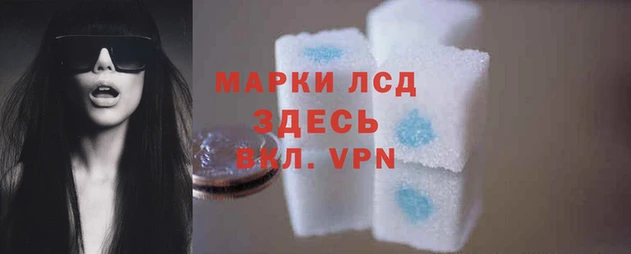 дживик Вязьма