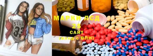 гидра Володарск