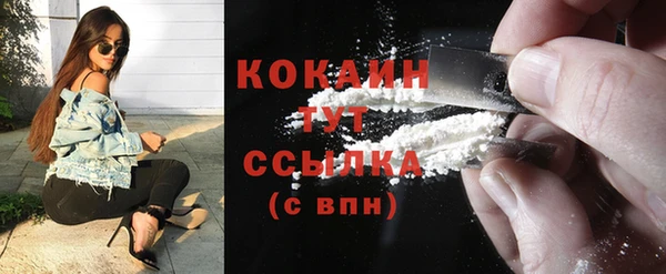 дживик Вязьма