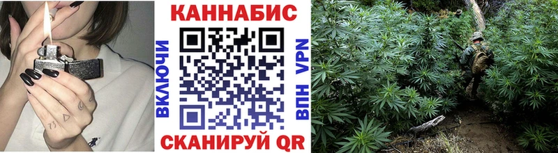 Купить  Красавино  Канабис OG Kush 